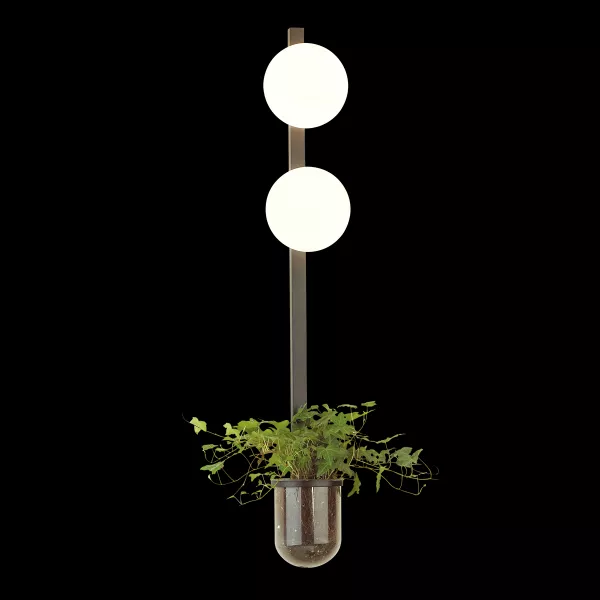 Бра Odeon Light Flower 4681/2WA в Крыму - фото с прозрачным фоном
