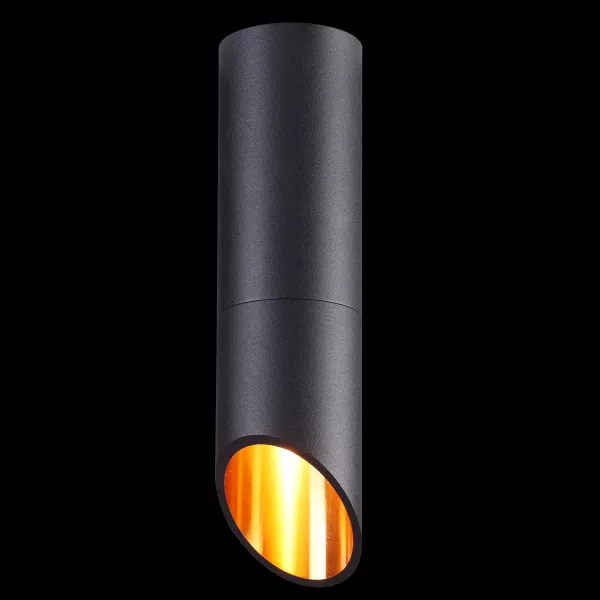 Встраиваемый точечный светильник Odeon Light Prody 4209/1C в Крыму - фото с прозрачным фоном