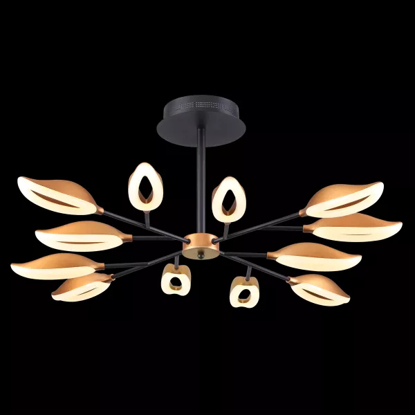 Потолочная люстра Odeon Light Gardena 3903/84CL в Крыму - фото с прозрачным фоном
