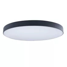 Loft It 10002/48 Black Потолочный светильник 