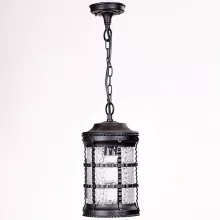 Oasis Light 81205 Bl Уличный подвесной светильник 