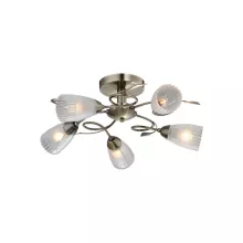 Потолочная люстра IDLamp Selveggiya 858/5PF-Oldbronze купить недорого в Крыму