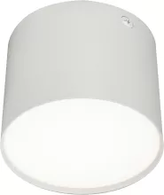 Escada 20004SMU/01LED SWH Точечный светильник 