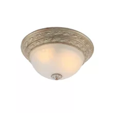 Потолочный светильник Arte Lamp Piatti A8013PL-2WA купить недорого в Крыму