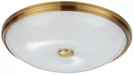 Odeon Light 4956/5 Настенно-потолочный светильник 