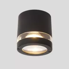 Oasis Light 6042 Gr Уличный потолочный светильник 