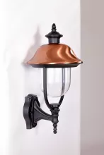 Oasis Light 84301c Bl Уличный настенный фонарь 