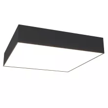 Maytoni C067CL-L40B4K Потолочный светильник 