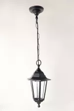 Подвесной уличный светильник Arte Lamp Belgrade A1215SO-1BK купить недорого в Крыму