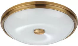 Odeon Light 4956/4 Настенно-потолочный светильник 