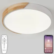 Потолочный светильник Scandinavian LED LAMPS 81181 купить недорого в Крыму