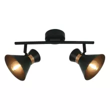 Arte Lamp A1406AP-2BK Спот на штанге ,экспозиция,магазин,кафе,гостиная