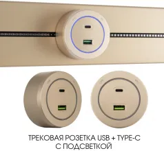 Трековая розетка Am-track-sockets-39 399731TS/USB-Type-C Gold купить недорого в Крыму