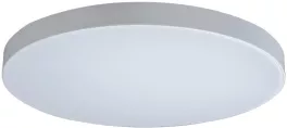 Loft It 10002/48 White Потолочный светильник 