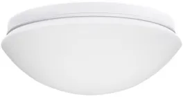 Потолочный светильник PIRES 8811 купить недорого в Крыму