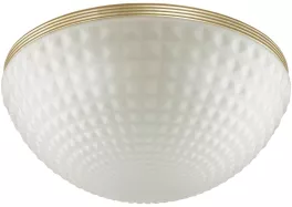 Odeon Light 4936/4C Потолочная люстра 