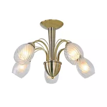 Потолочная люстра Arte Lamp 88 A1673PL-5AB купить недорого в Крыму