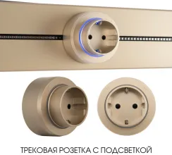 Трековая розетка Am-track-sockets-39 397951TS/ES Gold купить недорого в Крыму