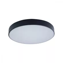 Loft It 10002/24 Black Потолочный светильник 