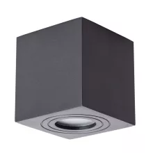 Arte Lamp A1461PL-1BK Уличный потолочный светильник 