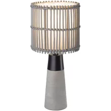 Интерьерная настольная лампа Pantani 24139 купить недорого в Крыму