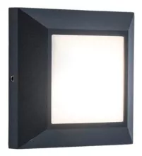 Oasis Light W4021 Gr Уличный настенный светильник 