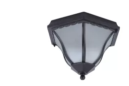 Потолочный светильник Arte Lamp  A1826PF-2BK купить недорого в Крыму