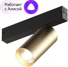 Denkirs DK8020-BG Трековый светильник 