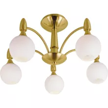 Потолочная люстра N-Light Bobion PX-0474/5A satin gold купить недорого в Крыму