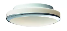 Настенно-потолочный светильник влагозащищенный ST Luce SL501 SL501.552.02 купить недорого в Крыму