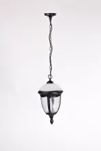 Oasis Light 89105L Bl мат/тр Уличный подвесной светильник 