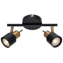 Arte Lamp A1906PL-2BK Спот 