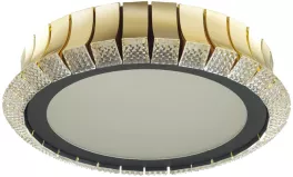 Odeon Light 4994/75L Потолочный светильник 