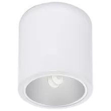 Точечный светильник Downlight 4866 купить недорого в Крыму