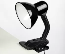 Офисная настольная лампа TL2N 000002954 купить недорого в Крыму