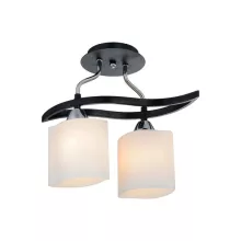 Потолочная люстра IDLamp Gabriella 859/2PF-Dark купить недорого в Крыму