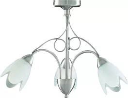 Потолочный светильник Arte Lamp  A4900PL-3SS купить недорого в Крыму