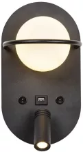 Настенный светильник Twin 4067-2W купить недорого в Крыму
