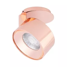 Светодиодный модуль PLURIO-LAMP 030257 купить недорого в Крыму