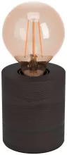 Интерьерная настольная лампа 2 Eglo Turialdo 1 900334 купить недорого в Крыму