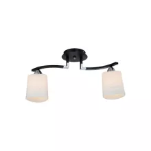 Потолочная люстра IDLamp Helena 860/2PF-Dark купить недорого в Крыму