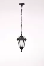 Oasis Light 95205S Bl Уличный подвесной светильник 