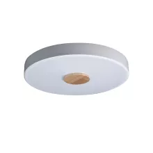 Loft It 10003/24 White Потолочный светильник 