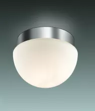 Odeon Light 2443/1A Влагозащищенный настенно-потолочный светильник ,ванная