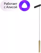 Трековый светильник Smart Spot DK8008-BG купить недорого в Крыму