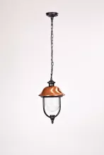 Oasis Light 84305c Bl Уличный подвесной светильник 