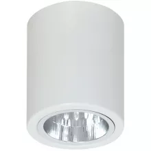 Точечный светильник Downlight Round 7234 купить недорого в Крыму