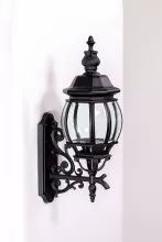 Oasis Light 83401L/06 BL Настенный фонарь уличный 