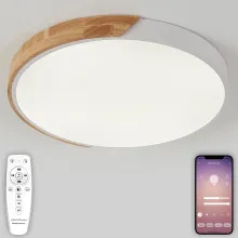 Потолочный светильник Scandinavian LED LAMPS 81182 купить недорого в Крыму