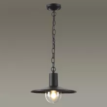 Odeon Light 4833/1 Уличный подвесной светильник 